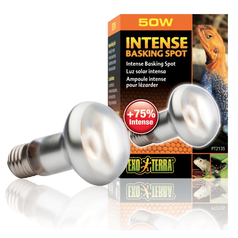 EXO-TERRA BASKING Intense Spot Lamp