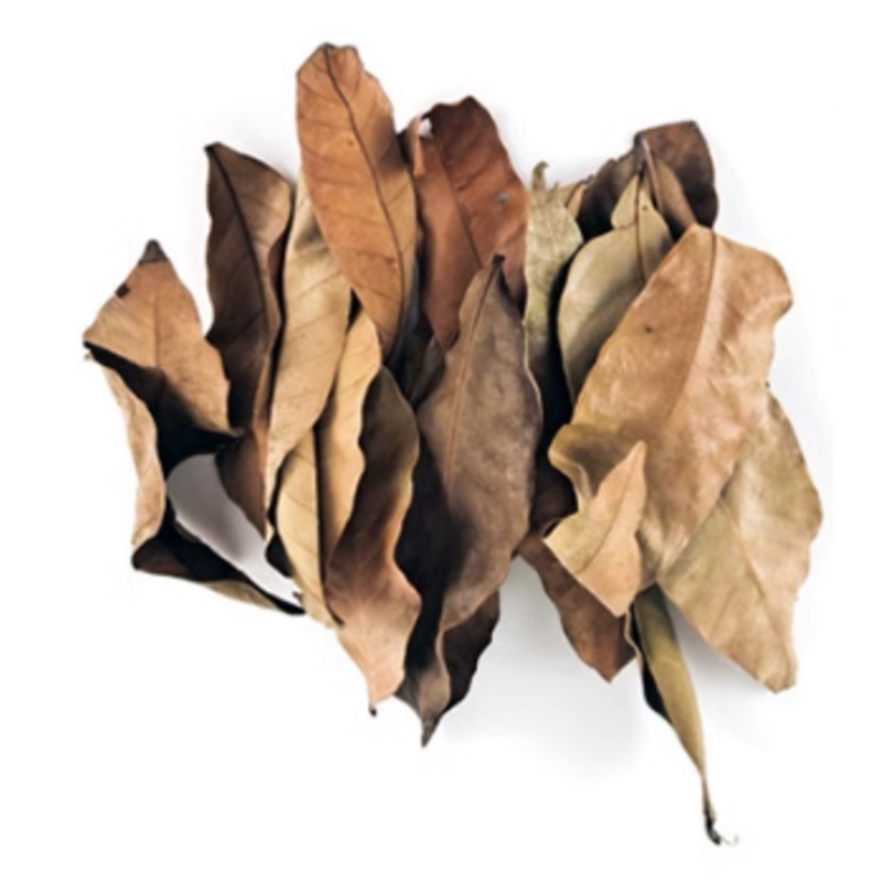 MOFISH Dried Fermented Logan Leavess (~20pc)