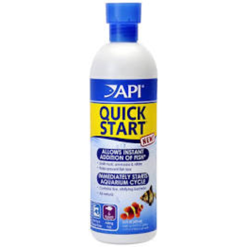 API Quick Start