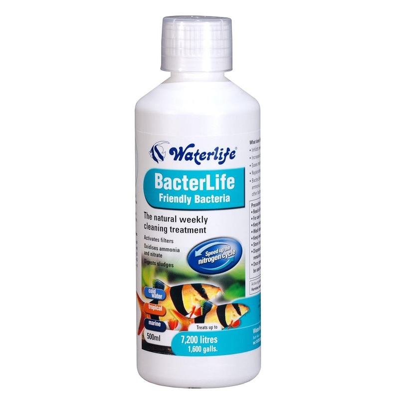 WATERLIFE BacterLife