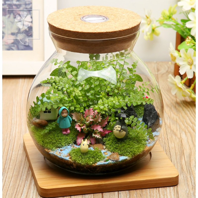 TERRA POTS Cork Jar LED
