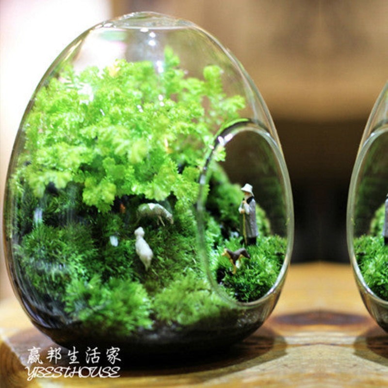 TERRA POTS Egg Shape Jar