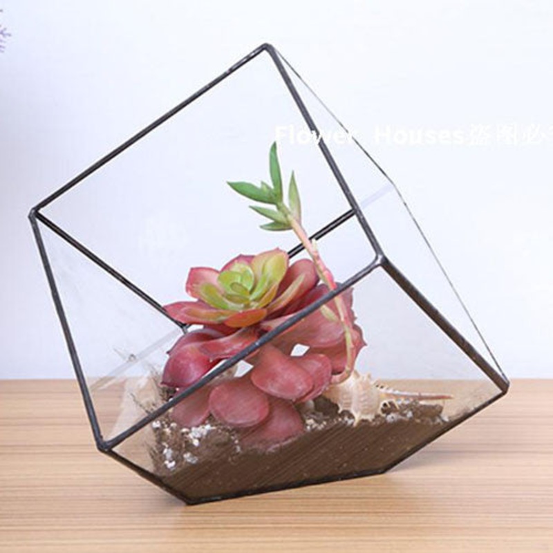 TERRA POTS Geometric Terrarium (10cm / No Door / Square Corner)