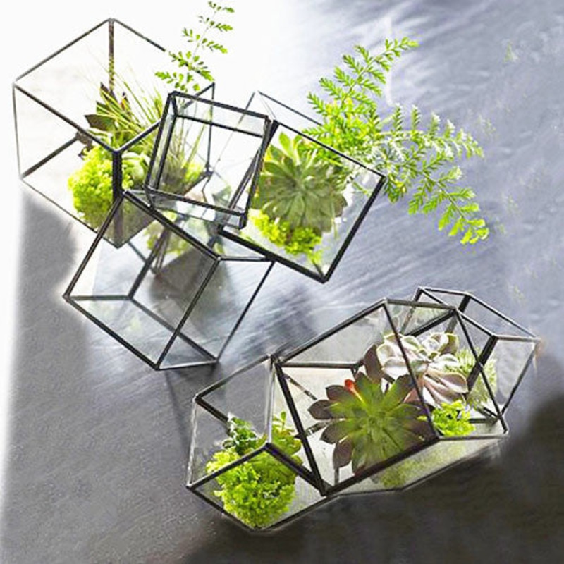 TERRA POTS Geometric Terrarium #17 (Multi Cube L)