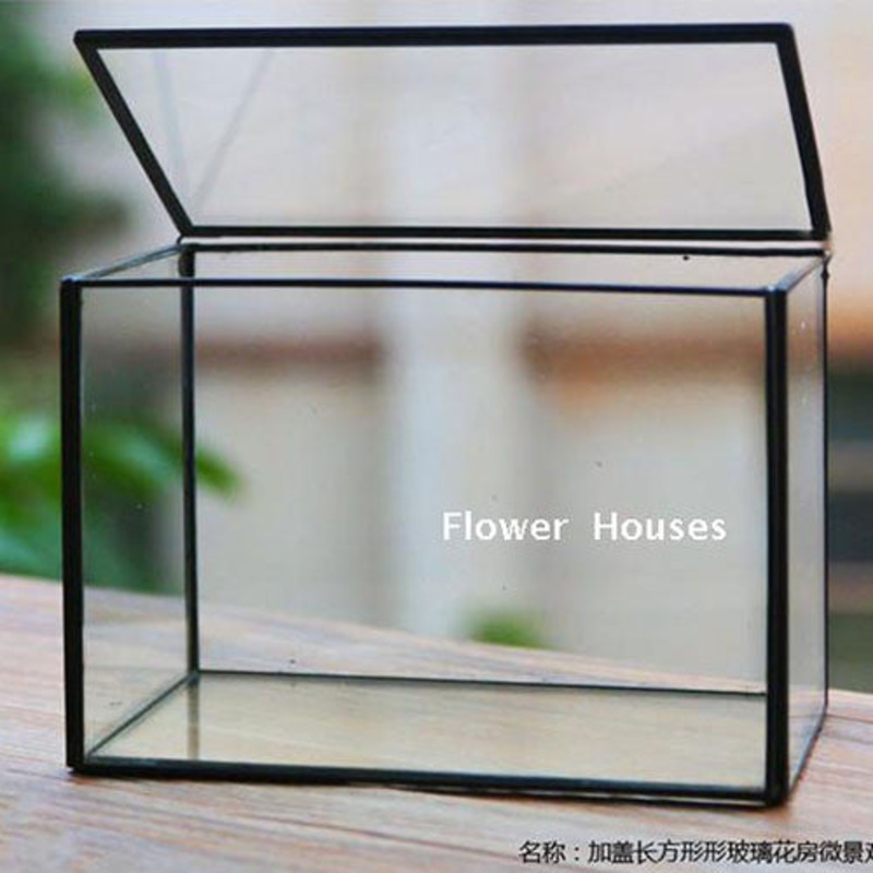 TERRA POTS Geometric Terrarium #18 (Rect M)
