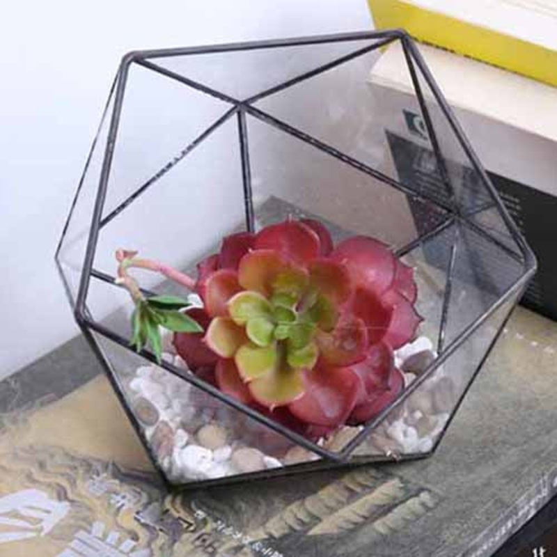 TERRA POTS Geometric Terrarium #19 (Hexagon M)
