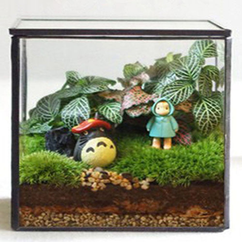 TERRA POTS Geometric Terrarium #2 (Square Cube M)