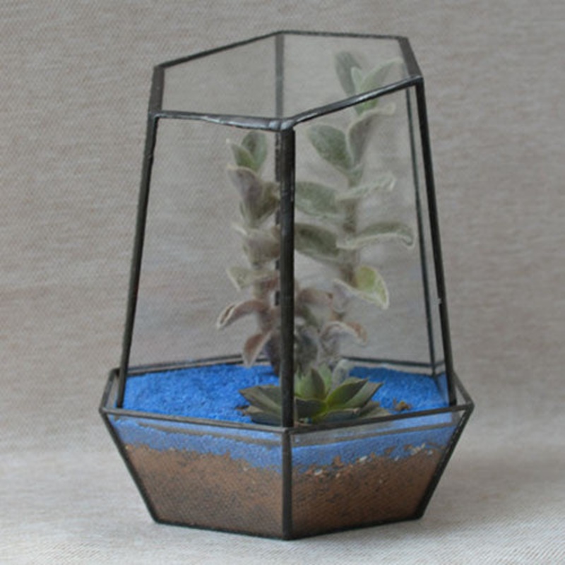 TERRA POTS Geometric Terrarium #21 (Trape M)