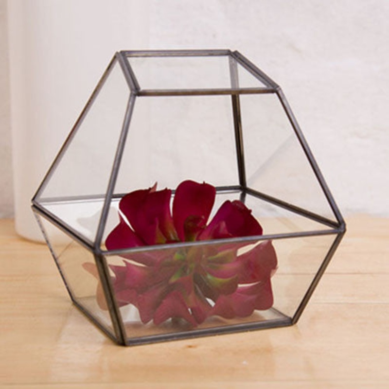 TERRA POTS Geometric Terrarium #24 (OctTrap)