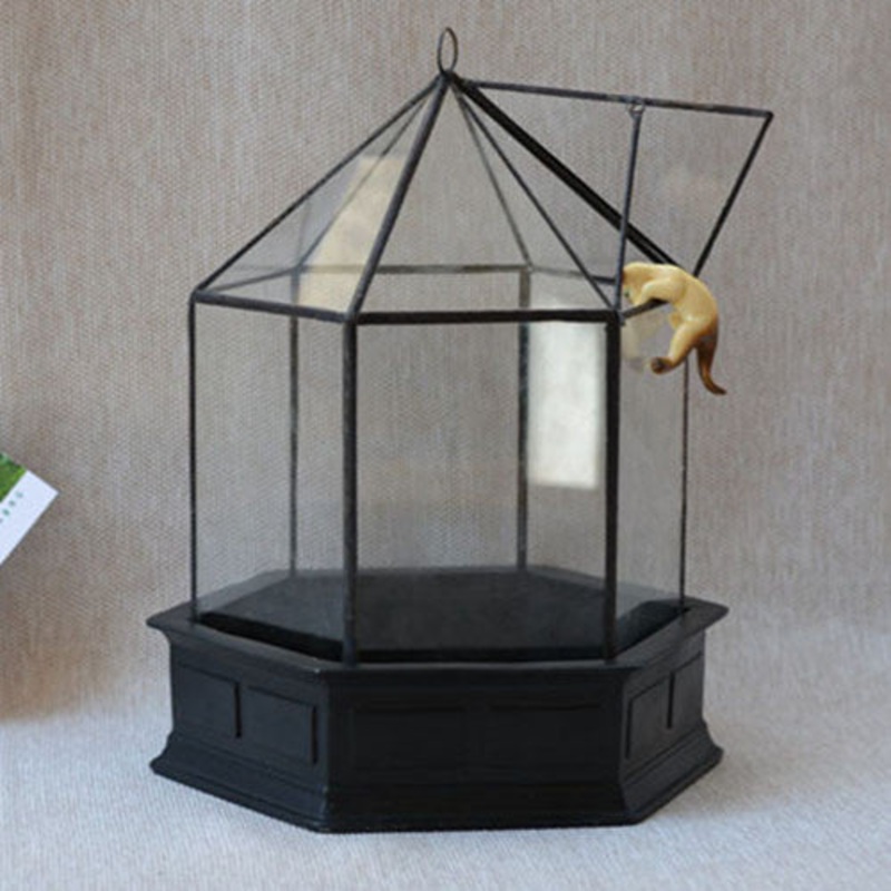 TERRA POTS Geometric Terrarium #25 (Black House L)