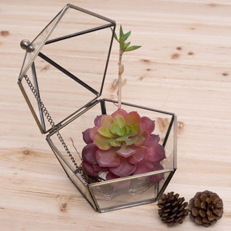 TERRA POTS Geometric Terrarium #27B (Pyramid M)