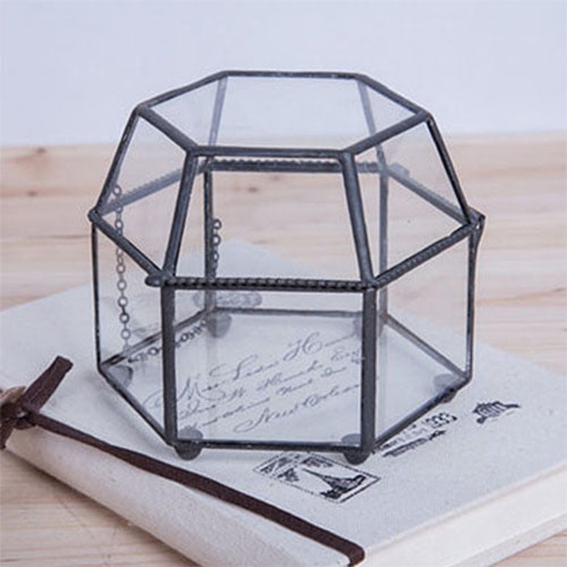 TERRA POTS Geometric Terrarium #28C (HexBox L)