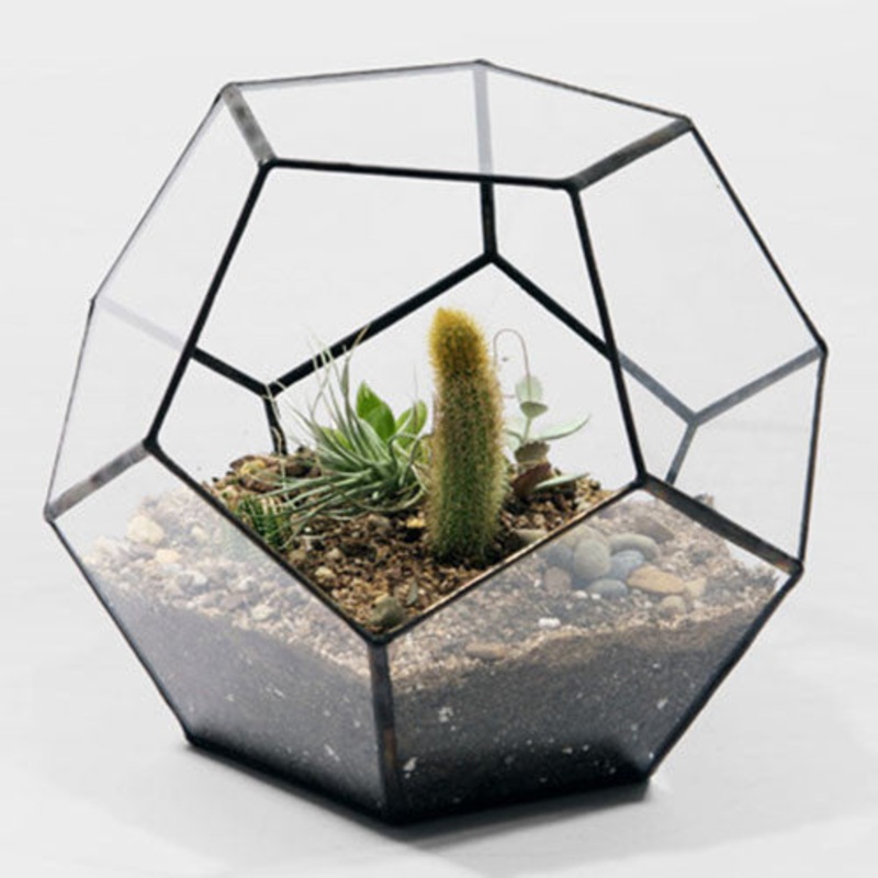 TERRA POTS Geometric Terrarium #5C (20cm / Octogon L)