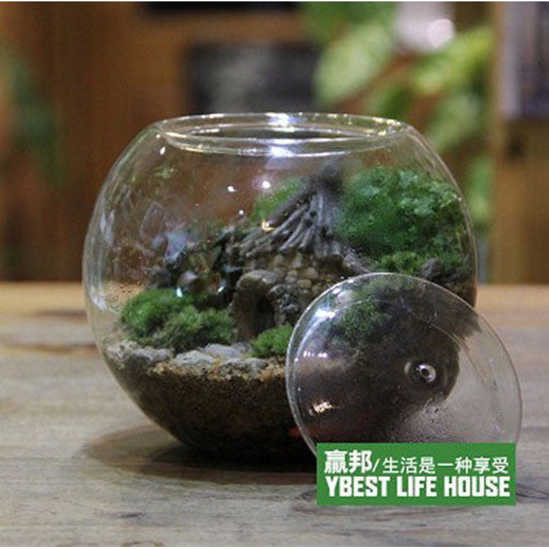 TERRA POTS Glass Closed Terrarium (S Orb Bowl / Flat Lid / 15cm)