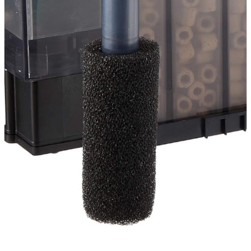Totto Sponge (Replacement)