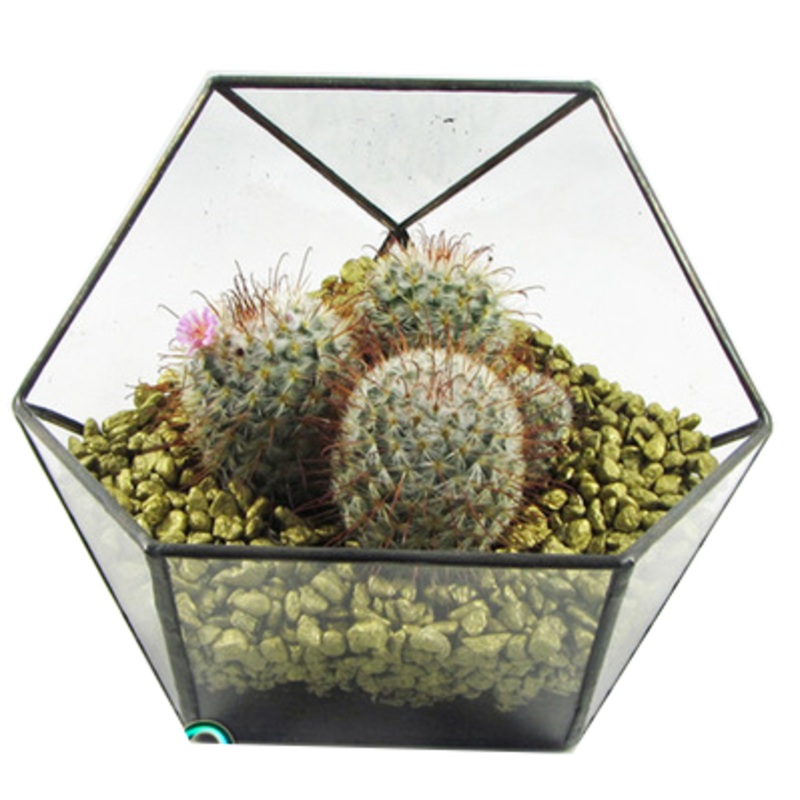 TERRA POTS Geometric Terrarium Ingot (14x14x14cm)