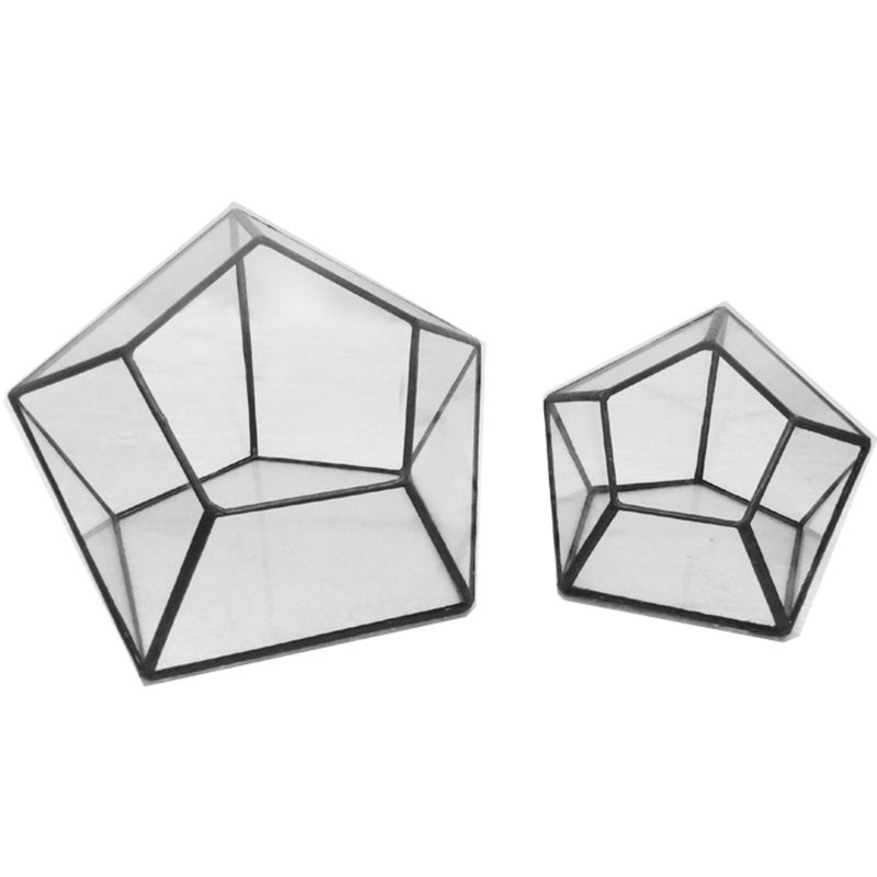 TERRA POTS Geometric Terrarium Mini Hexagon (14x12x10cm / S)