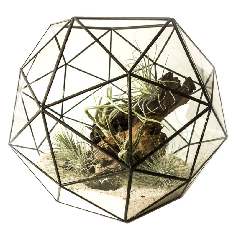 TERRA POTS Geometric Terrarium Super Octogon (25x25x19cm / L)