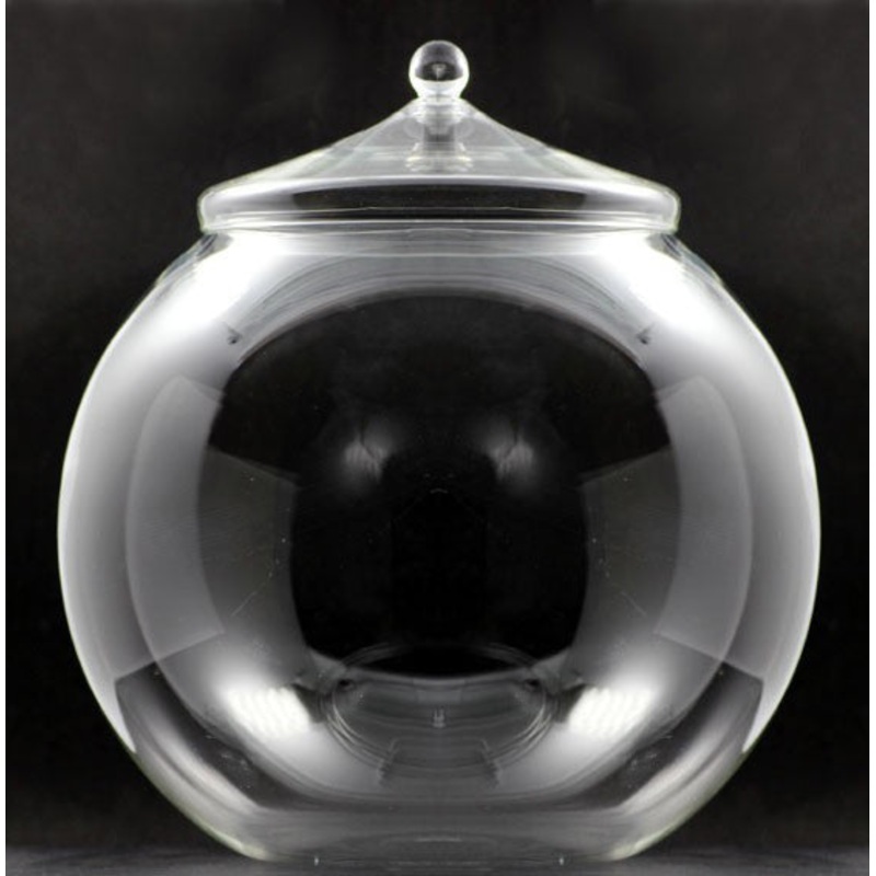 TERRA POTS Glass Closed Terrarium (S Orb Bowl / Handle Lid)