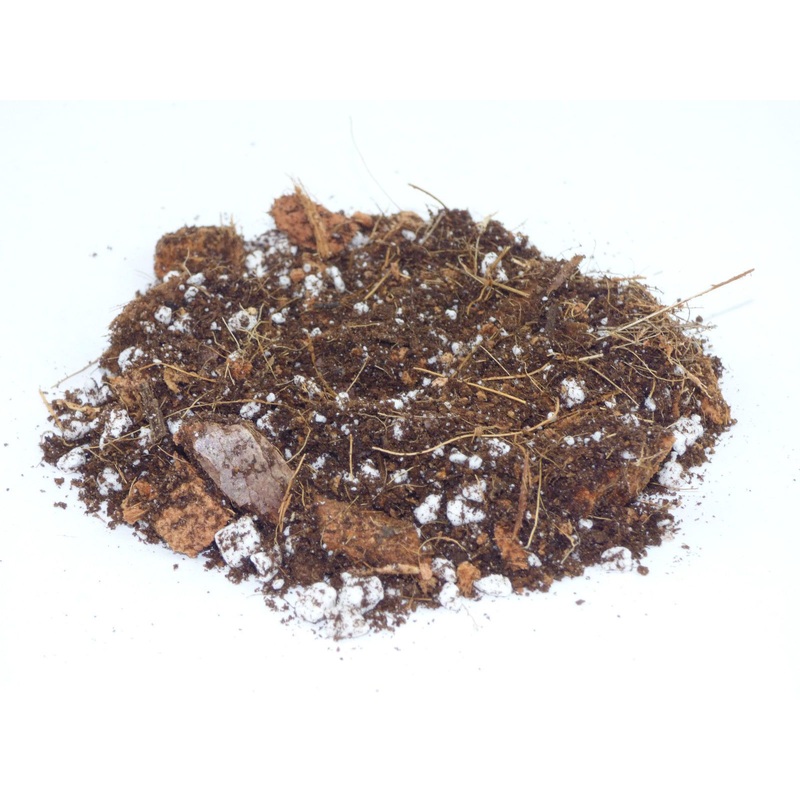 TERRA POTS Terrarium Soil Mix (~800ml)