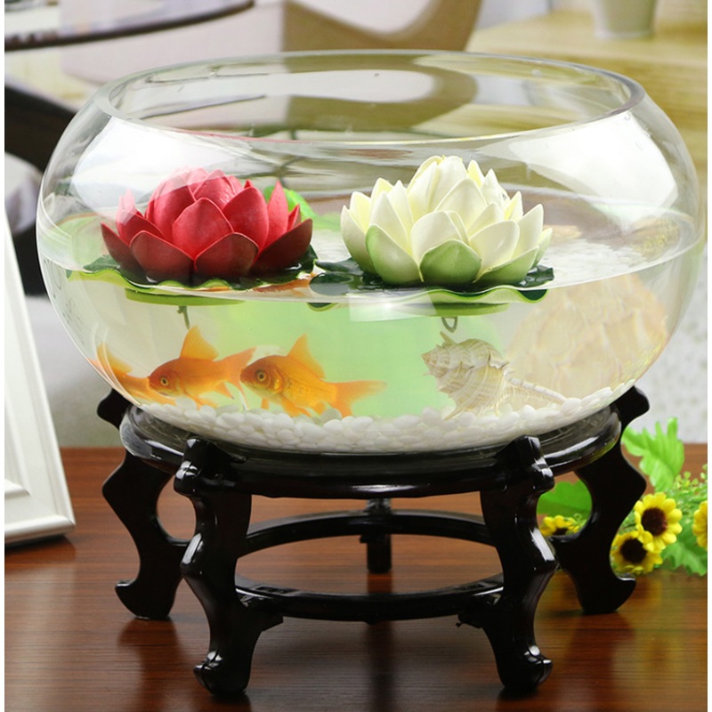 TERRA POTS Wide Glass Bowl