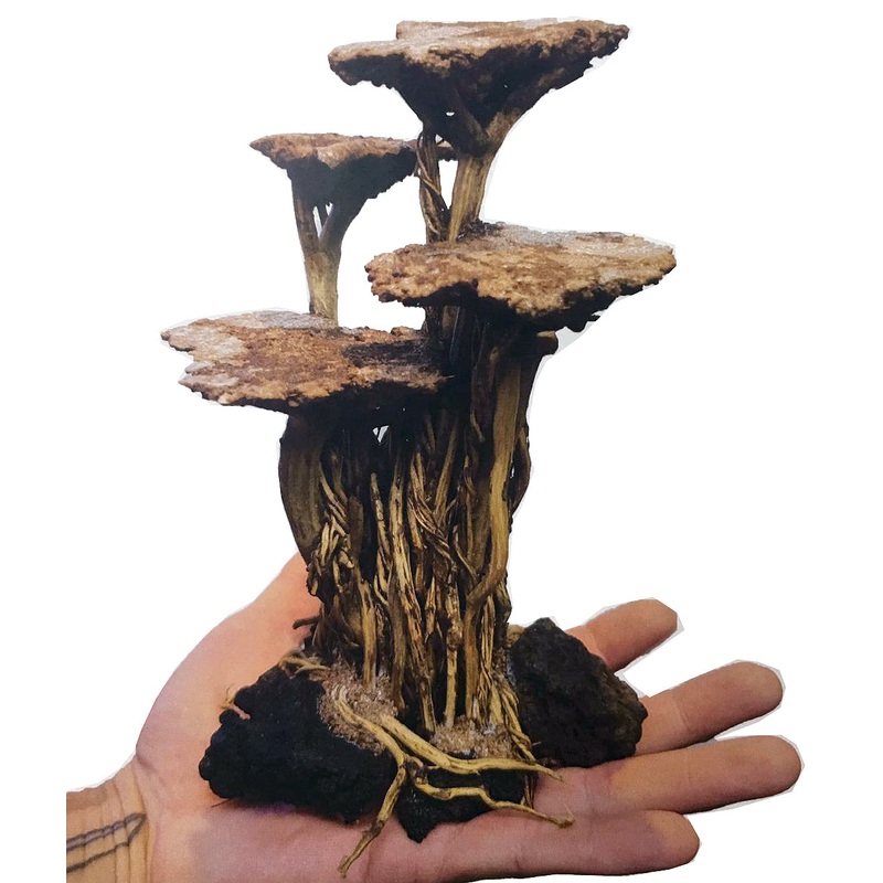 AQUARIUM DYNASTY Plug-N-Play HardScape (Lt0003 / 25cmH)
