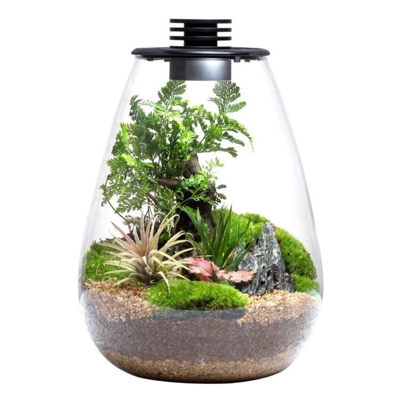 BIOLOARK LED Glass Jar SD Series