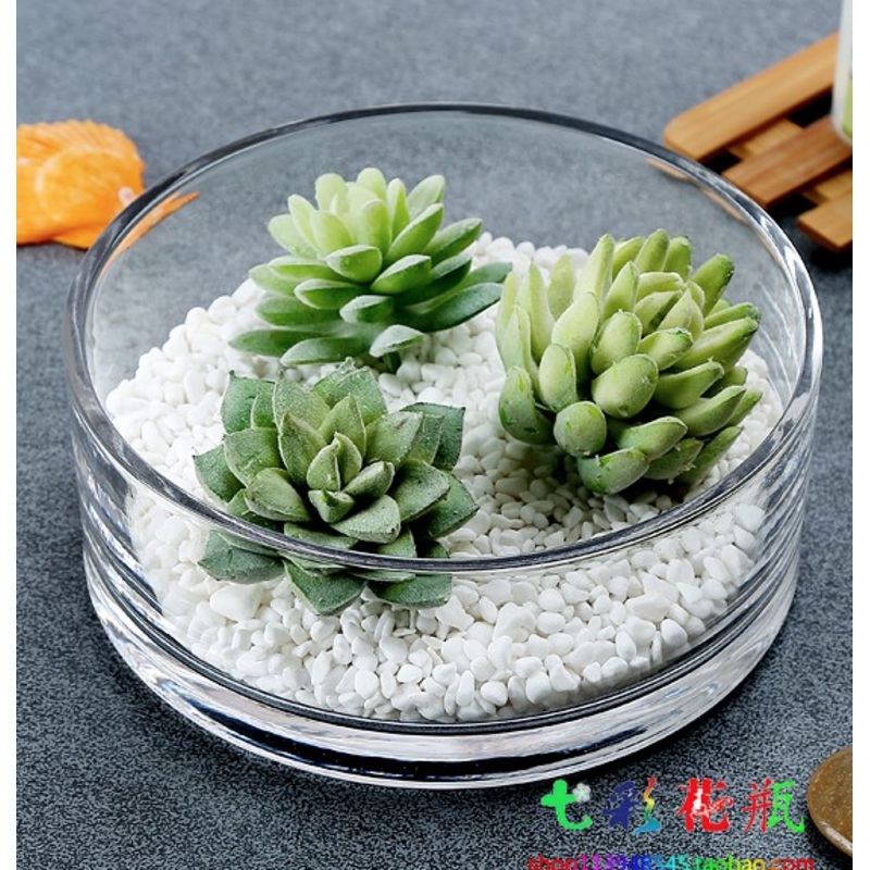 TERRA POTS Cylindrical Shallow Glass Bowl  (20cmD x 8cmH)