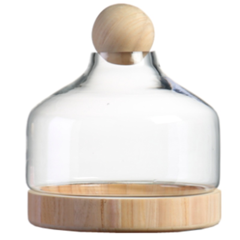 TERRA POTS Glass Jar w Wood Base Ball Top (30 x 28cm)
