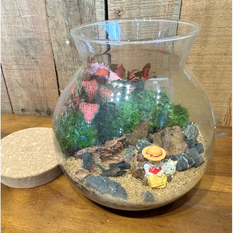Moss Terrarium Workshop (Kids)