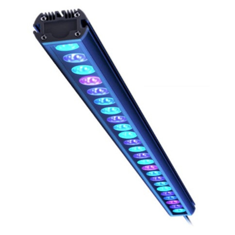 REEF FACTORY Reef Flare Pro BAR