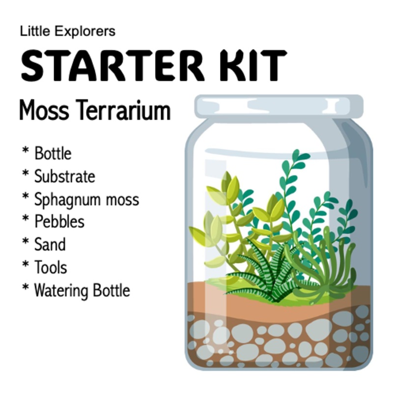 STARTER KIT - Moss Terrarium