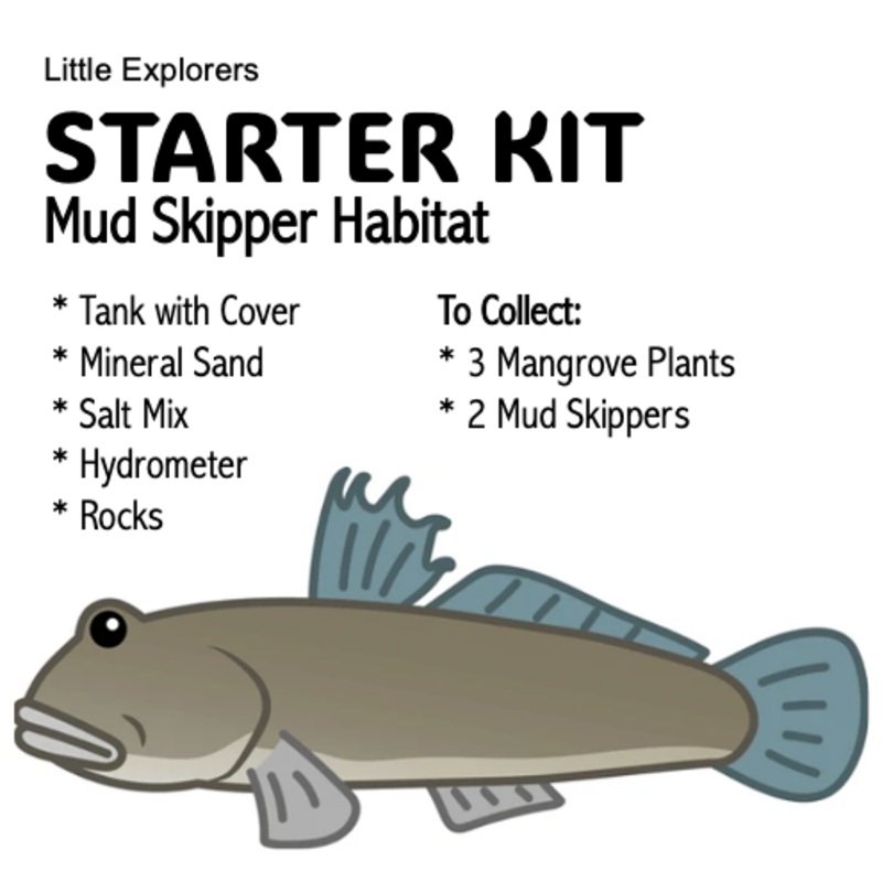 STARTER KIT - Mud Skipper Habitat