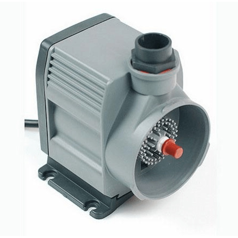 SP2000