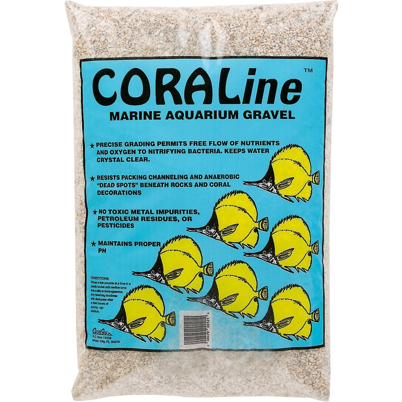 Coraline 20lbs