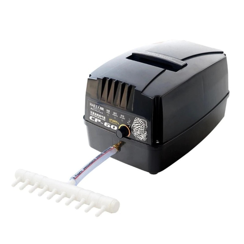 CP-60 Air Pump