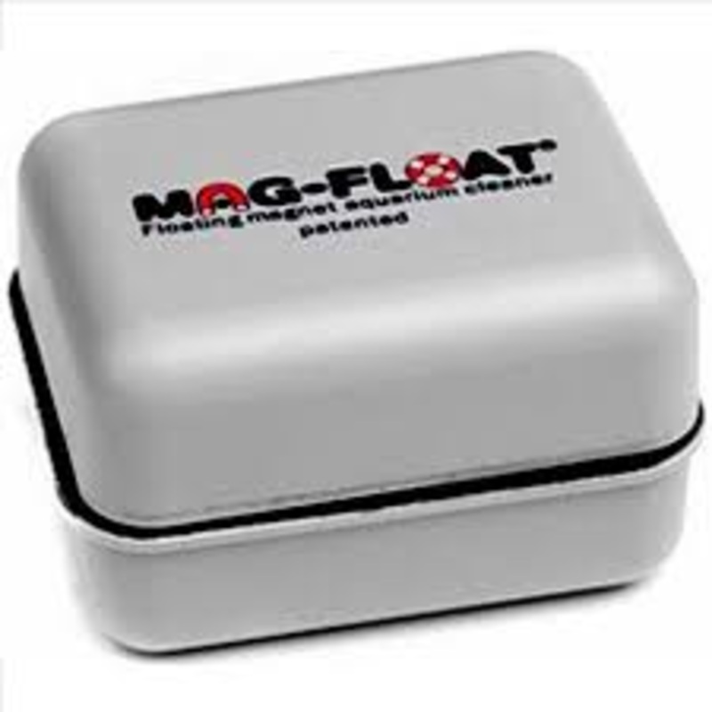 Mag-Float Large 15mm