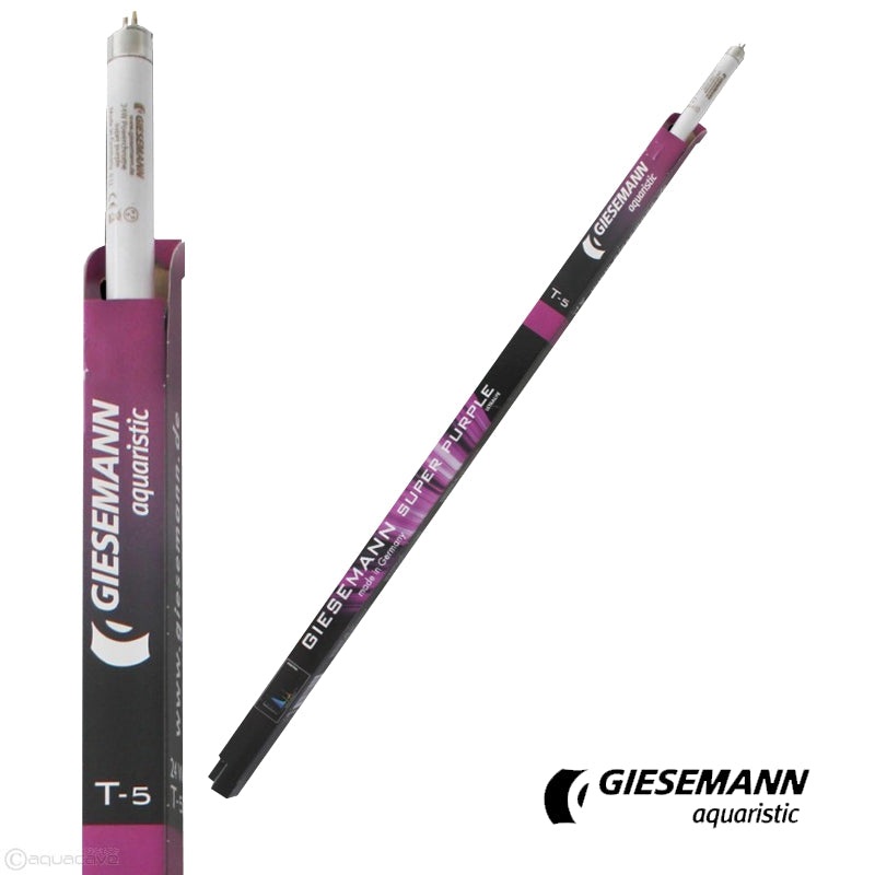 Super Purple - White/Pink Marine 80 Watt