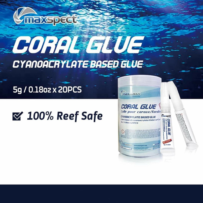 Maxspect Coral Glue 1box(20pcs)