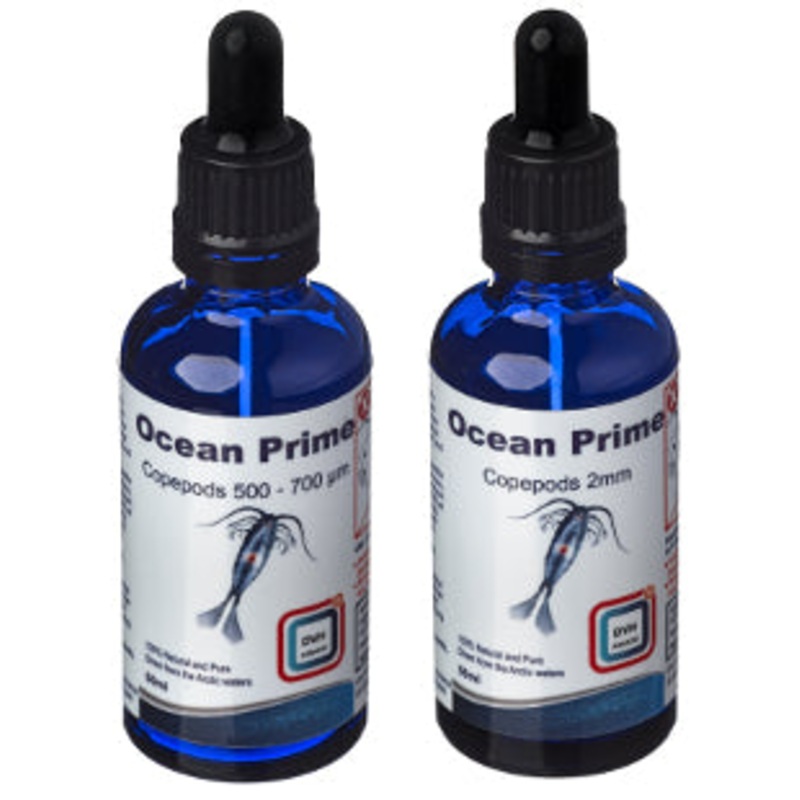 Ocean Prime Copepods 500-700m