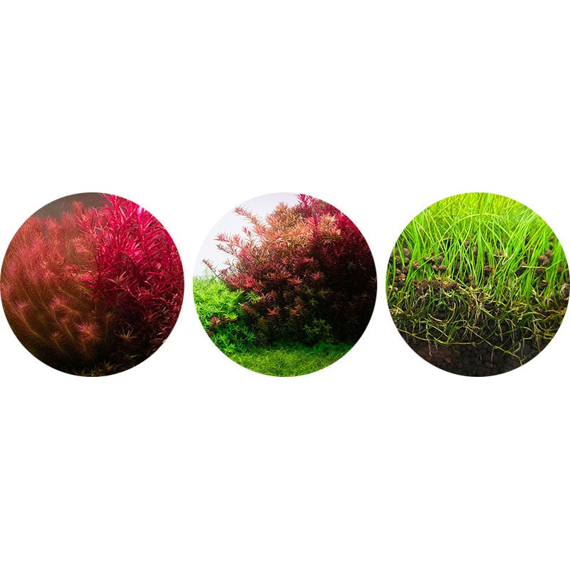 Aquario Neo Soil - NO CO2 - With Infused CO2