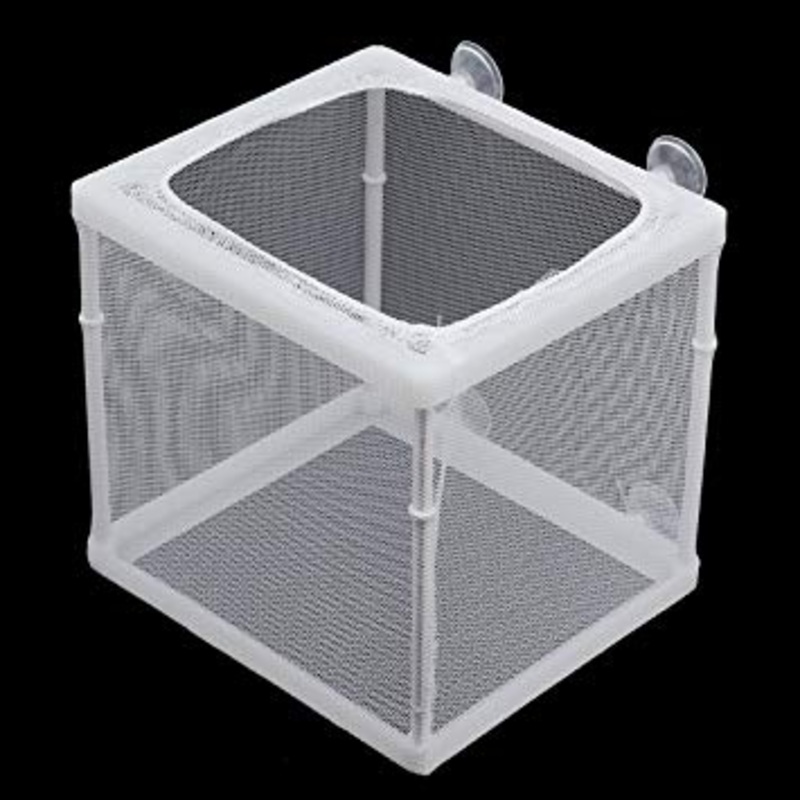 Breeder Isolation box for freshwater and saltwater aquarium