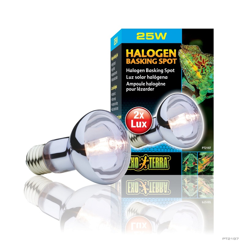 Exo Terra Halogen Basking Spot bulb 75w