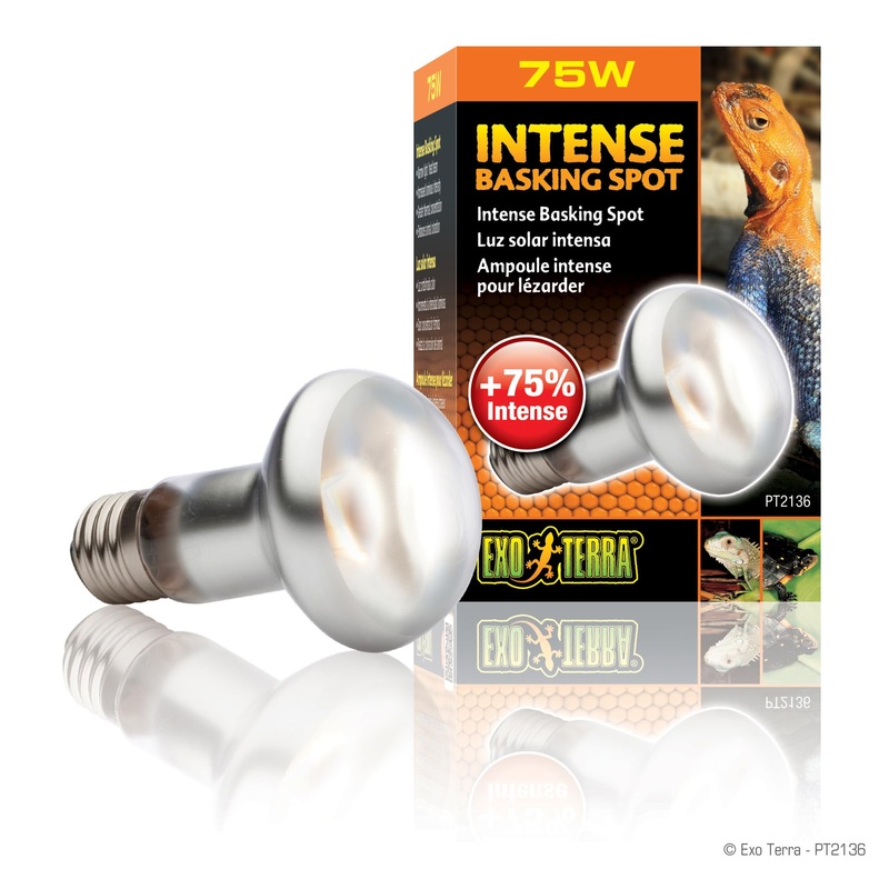 Exo Terra Intense Basking Spot bulb 75w