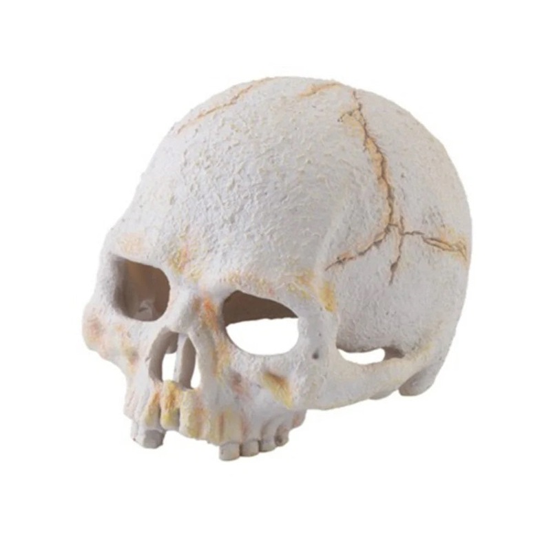 Exo Terra Primate Skull ornament for Terrarium Small