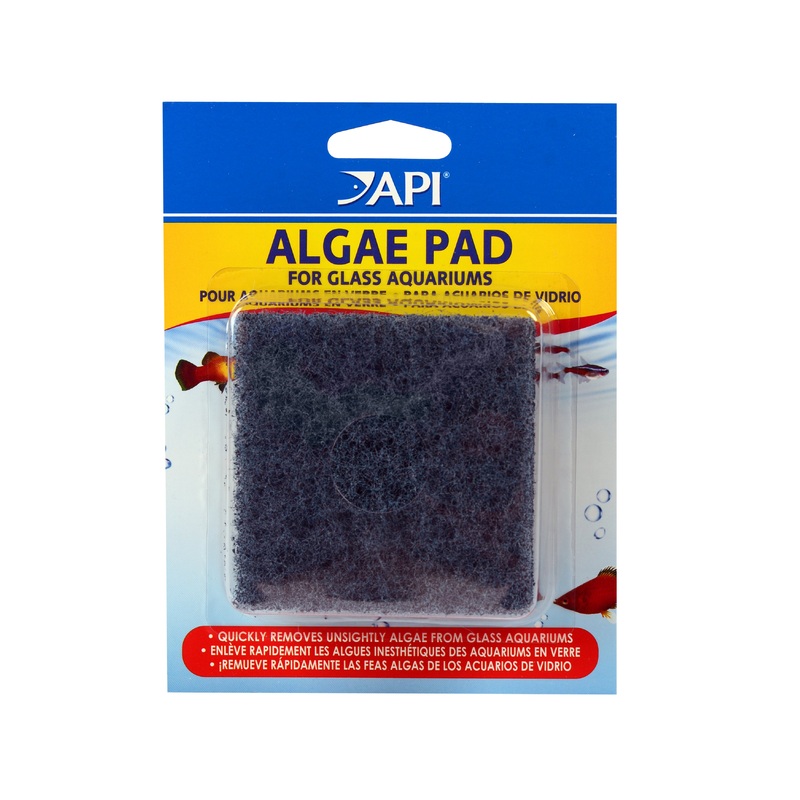 API - Hand Held Algae Pad for Glass