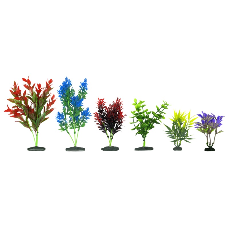 Aquamate - Natural Variety Plants (6pk)