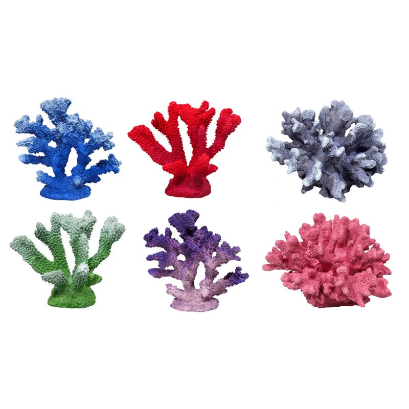 Aquamate - Corals (Small)