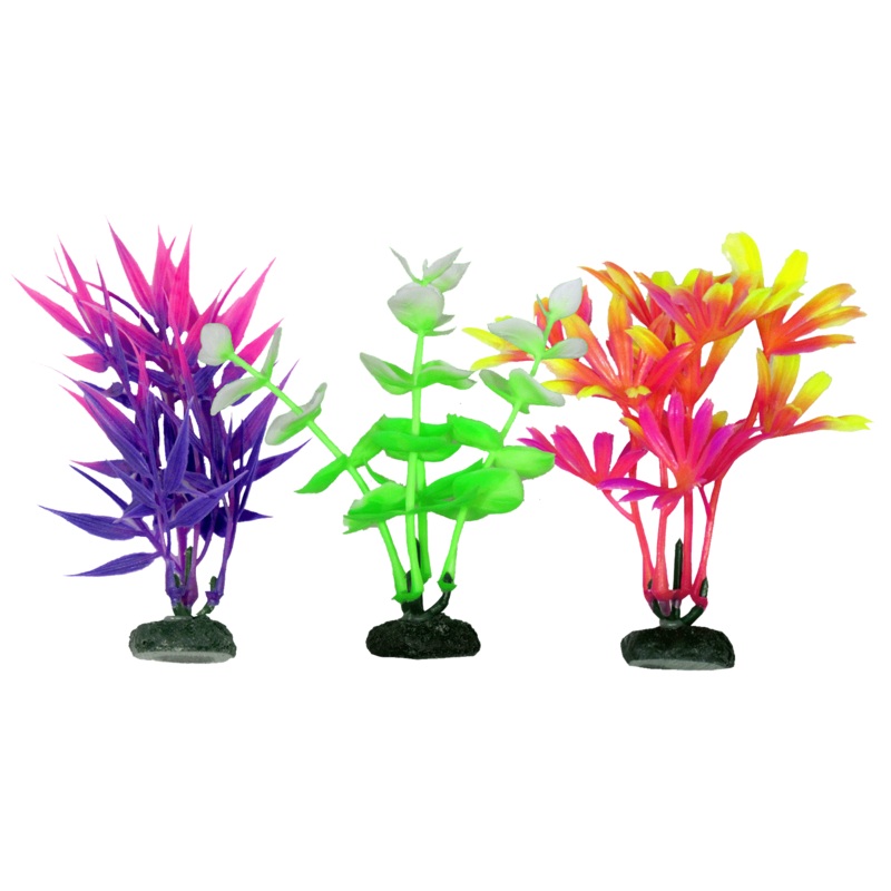 Aquamate - Vibrant Plants (10cm) (3pk)