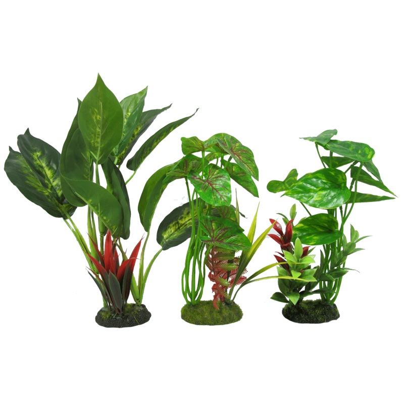 Aquamate - Jungle Gardens (Medium)